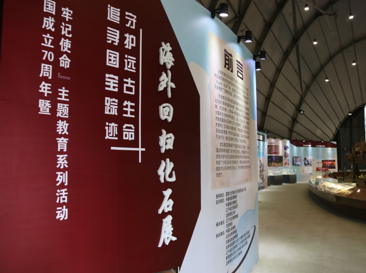 一竞技网址,一竞技网站,一竞技电竞