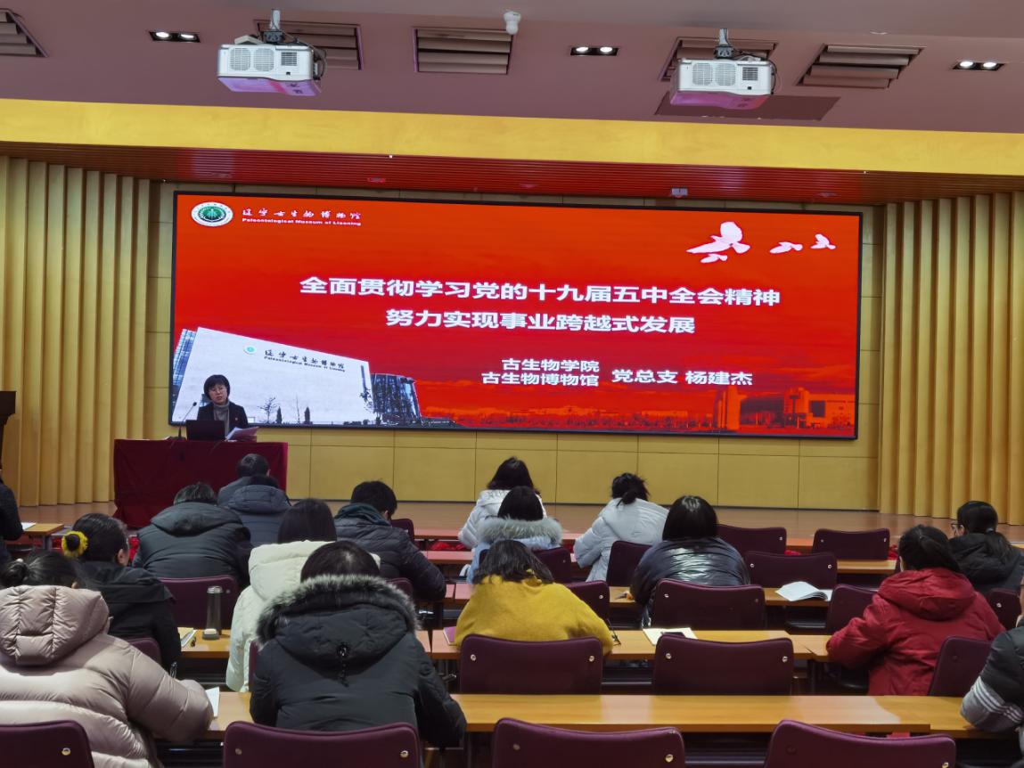 一竞技网址,一竞技网站,一竞技电竞