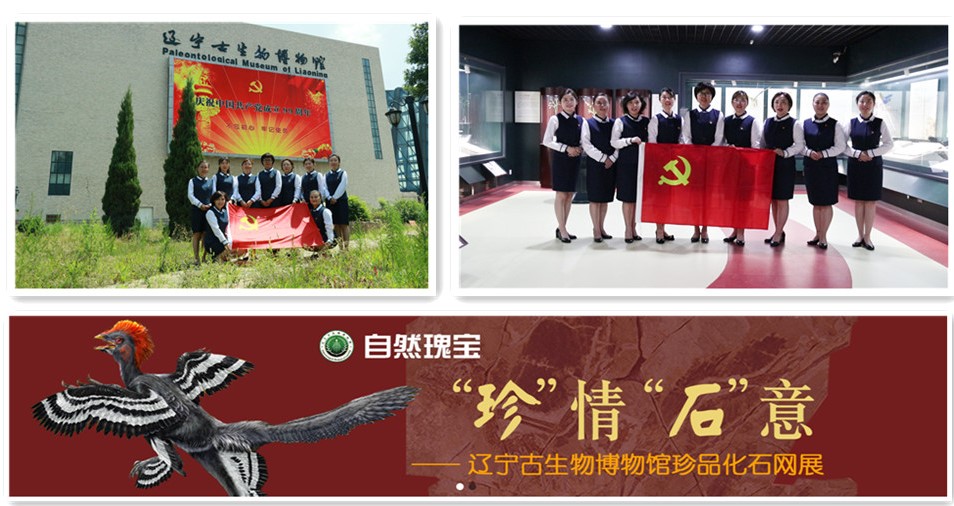 一竞技网址,一竞技网站,一竞技电竞