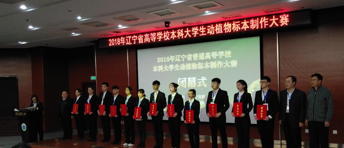 一竞技网址,一竞技网站,一竞技电竞