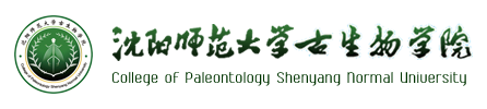 一竞技网址